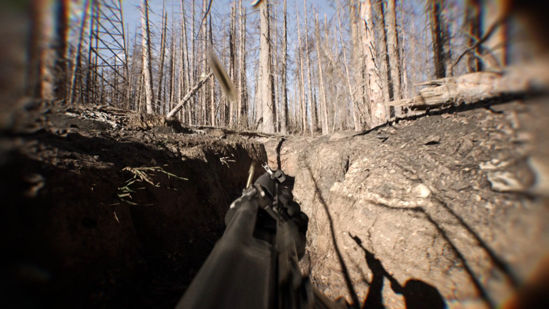 Flooded and dry trenches run through the woodland.